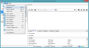 BitTorrent Pro For Windows